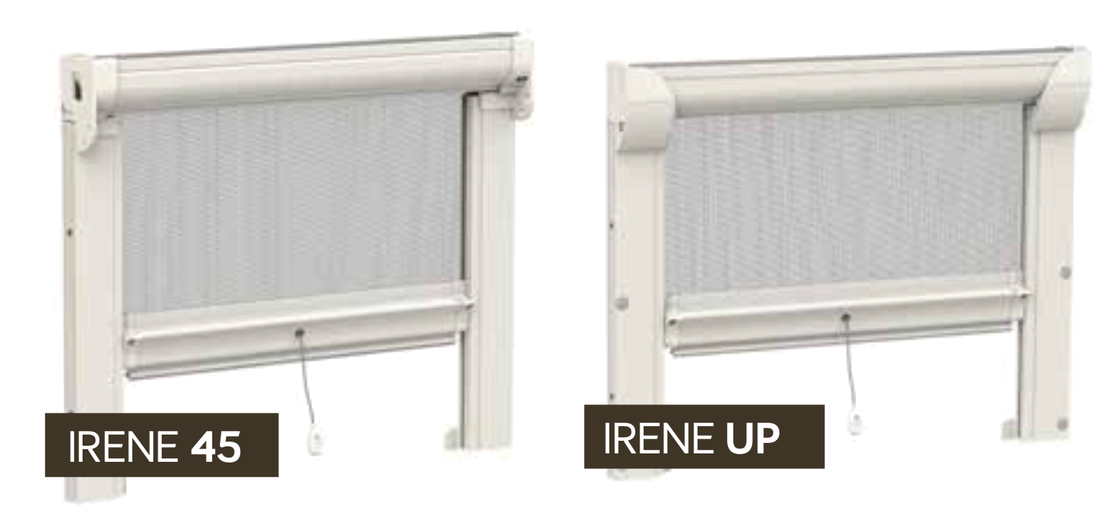 irene_vert.png